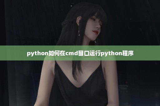 python如何在cmd窗口运行python程序