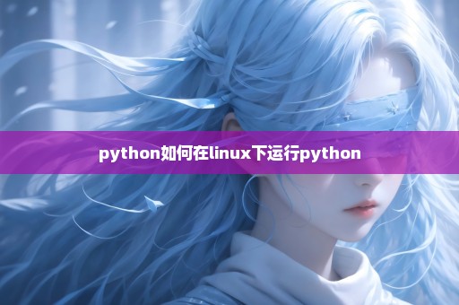 python如何在linux下运行python