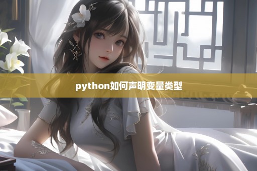 python如何声明变量类型