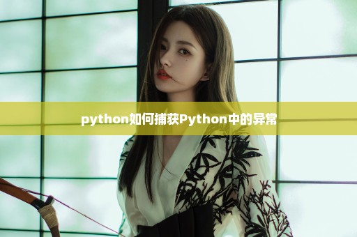 python如何捕获Python中的异常