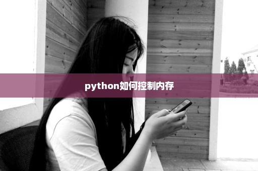 python如何控制内存