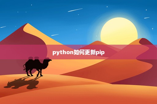 python如何更新pip