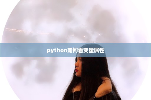 python如何看变量属性