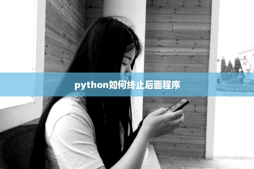 python如何终止后面程序