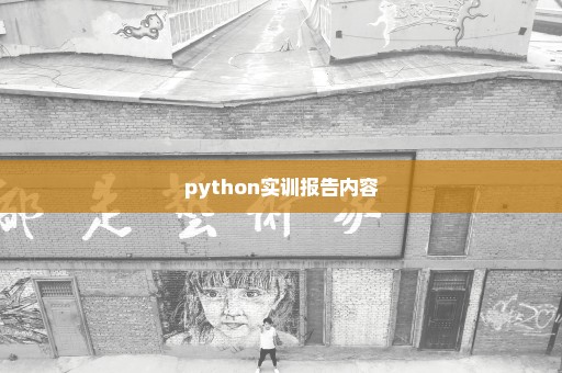 python实训报告内容