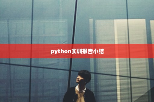 python实训报告小结