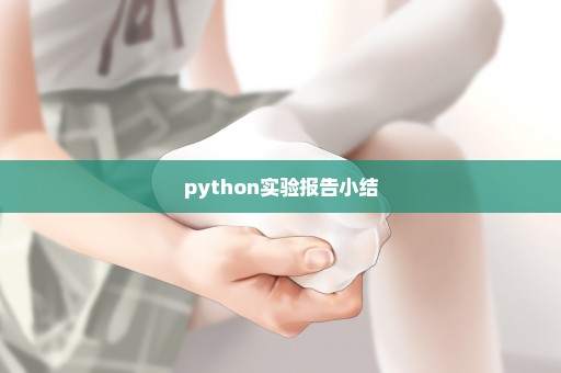 python实验报告小结