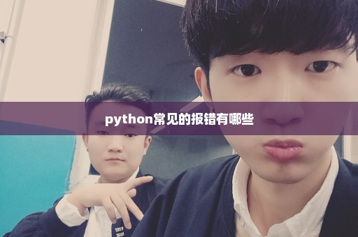 python常见的报错有哪些