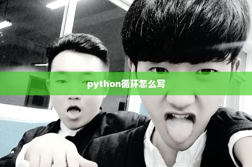 python循环怎么写