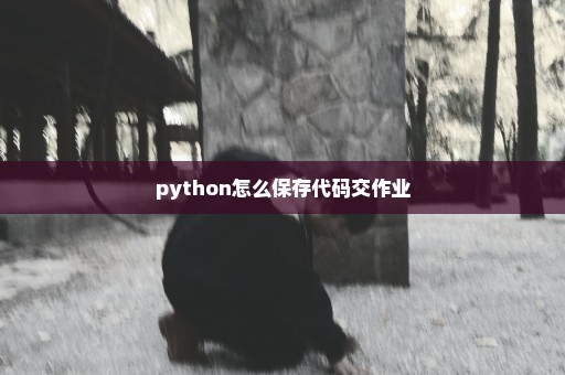 python怎么保存代码交作业