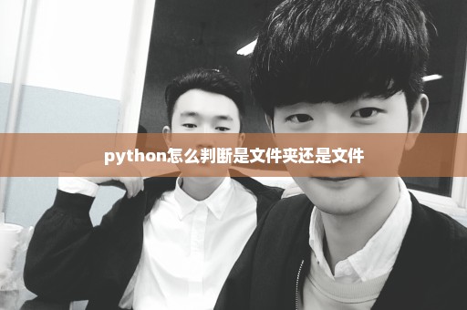 python怎么判断是文件夹还是文件