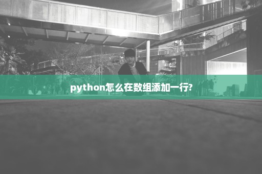 python怎么在数组添加一行?