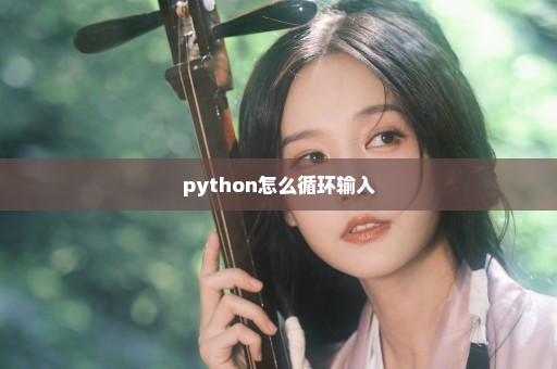 python怎么循环输入