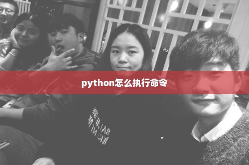 python怎么执行命令