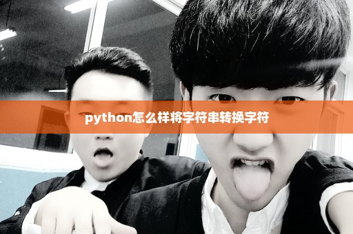 python怎么样将字符串转换字符