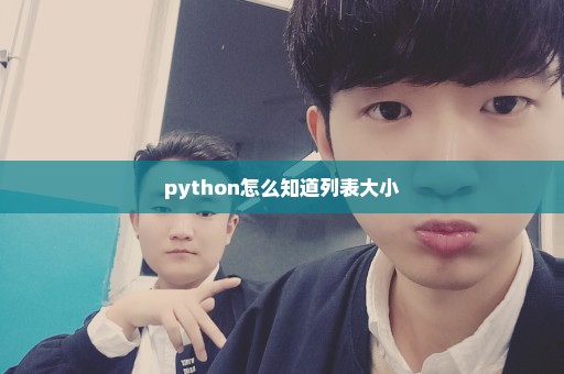 python怎么知道列表大小