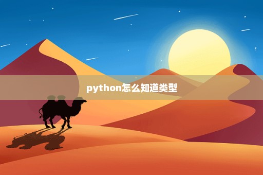 python怎么知道类型