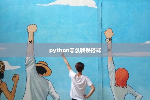 python怎么转换格式