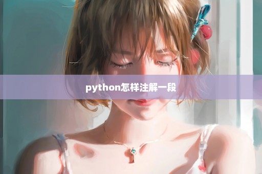 python怎样注解一段