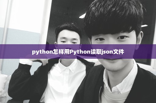 python怎样用Python读取json文件