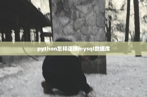 python怎样连接mysql数据库