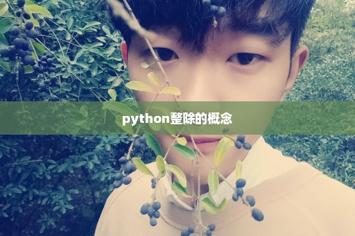 python整除的概念