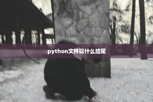 python文件以什么结尾