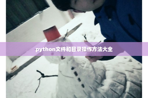 python文件和目录操作方法大全