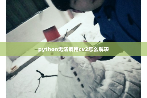 python无法调用cv2怎么解决