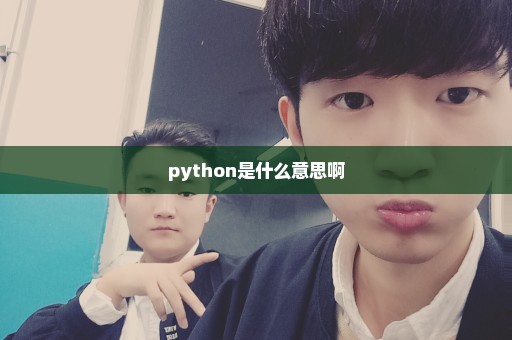 python是什么意思啊