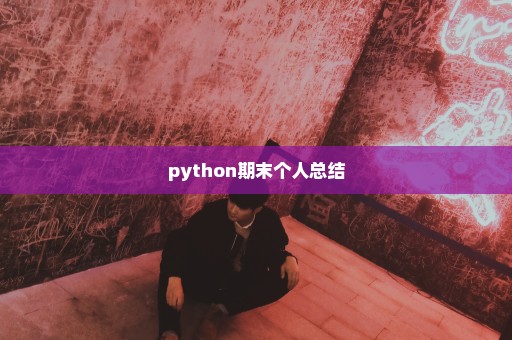 python期末个人总结