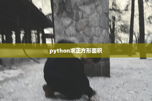 python求正方形面积