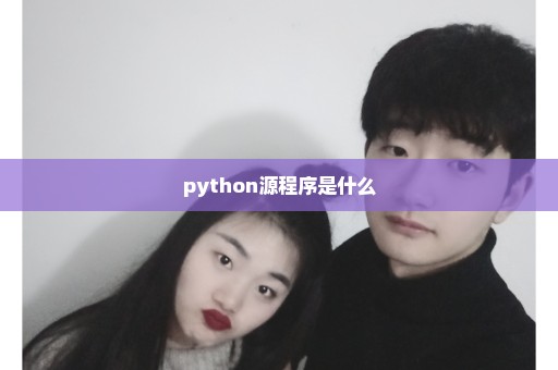 python源程序是什么