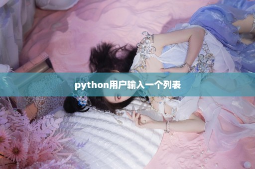 python用户输入一个列表