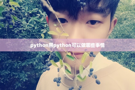 python用python可以做哪些事情