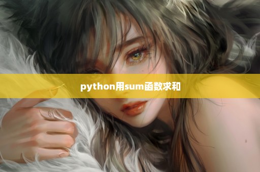 python用sum函数求和