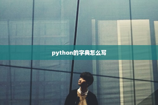 python的字典怎么写