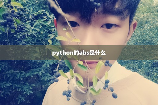 python的abs是什么