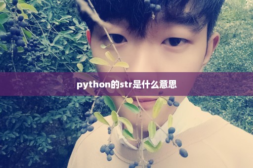 python的str是什么意思