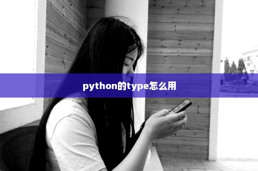 python的type怎么用