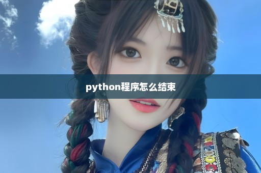 python程序怎么结束