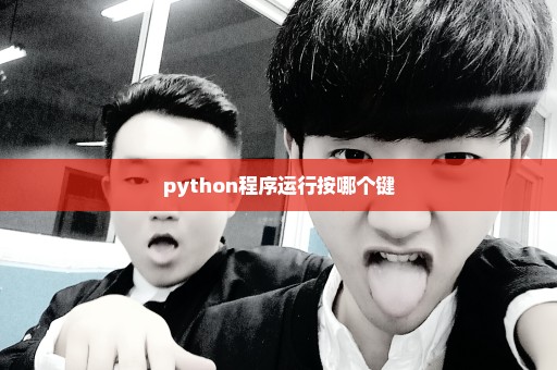 python程序运行按哪个键