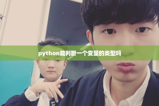 python能判断一个变量的类型吗