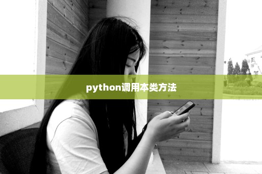 python调用本类方法