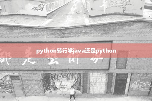 python转行学java还是python