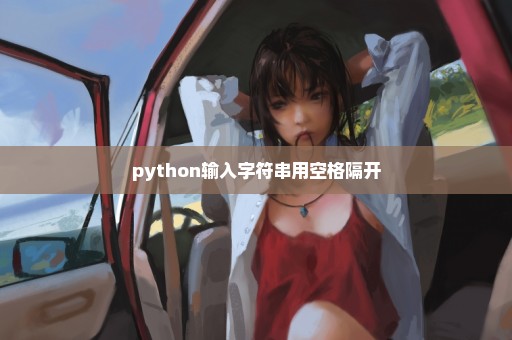 python输入字符串用空格隔开