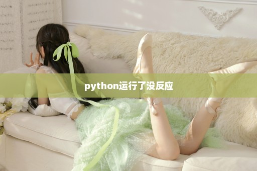 python运行了没反应