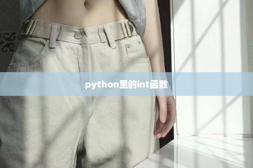 python里的int函数