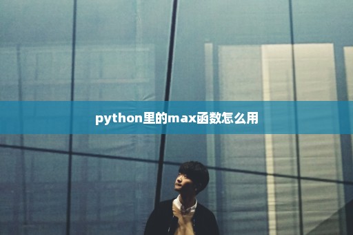 python里的max函数怎么用