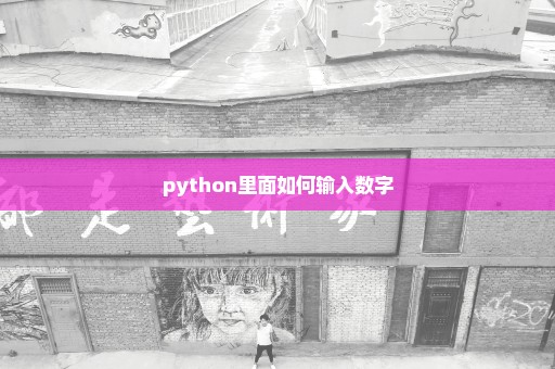 python里面如何输入数字